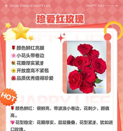 13朵红玫瑰的花语寓意是什么？它传递了哪种情感？