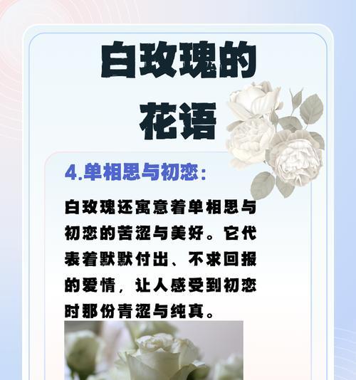 不在乎别人眼光的花语是什么？它在花语中象征着什么？