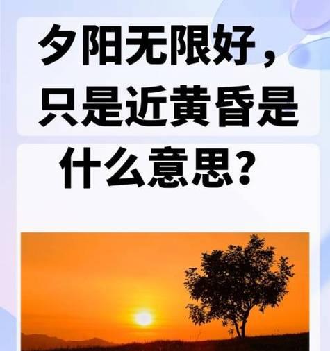 好看的黄昏花语是什么意思？黄昏时分适合送哪些花表达情感？