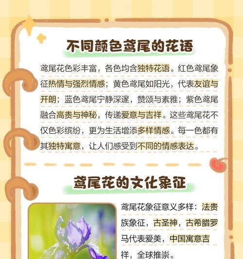 鸢尾花的花语代表重生吗？它象征着什么？
