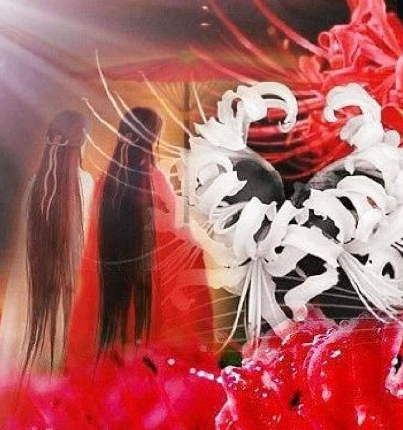 红色彼岸花的花语代表什么含义？