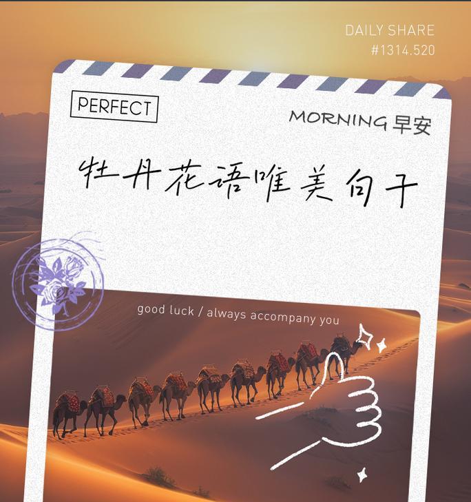 不同种类的牡丹有什么花语？它们各自代表了什么？