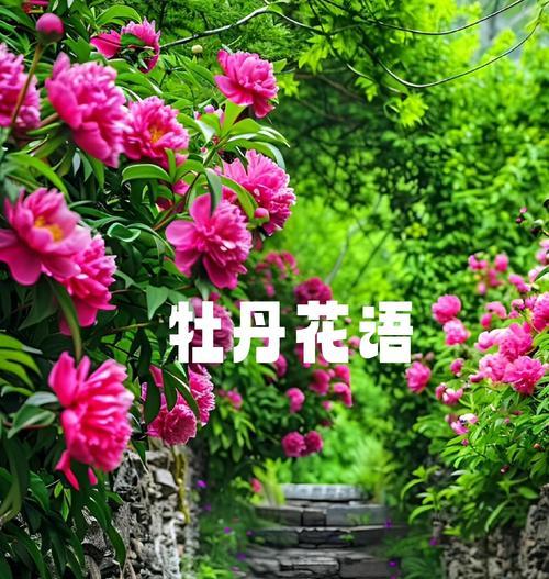 不同种类的牡丹有什么花语？它们各自代表了什么？
