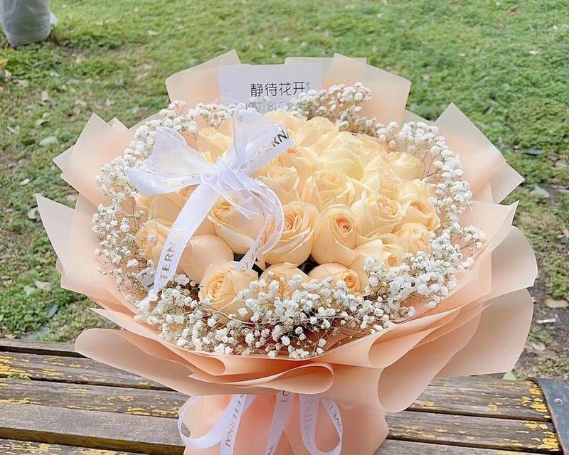 玫瑰香槟花的花语具体是什么？