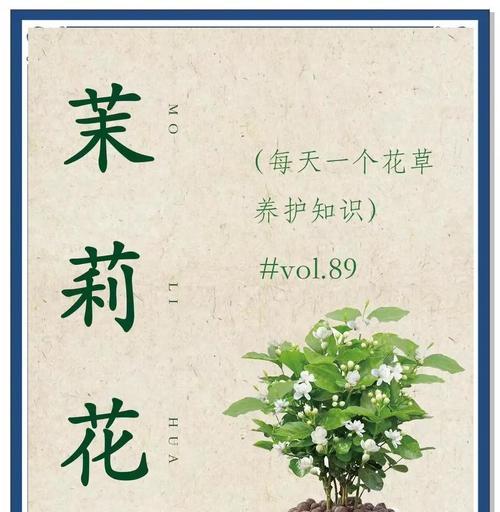 茉莉花的花语美丽是什么？茉莉花代表了怎样的美？