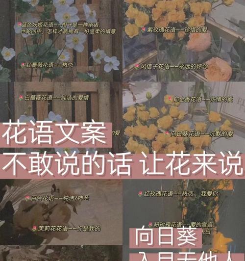 什么花语代表着偏执暗恋？哪种花最能表达暗恋的情感？