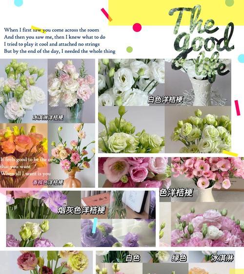 花的花色和花语的区别是什么？如何区分不同花色的花语？