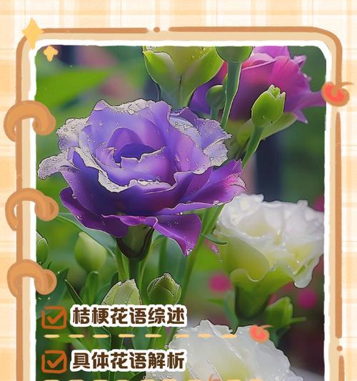 花的花色和花语的区别是什么？如何区分不同花色的花语？