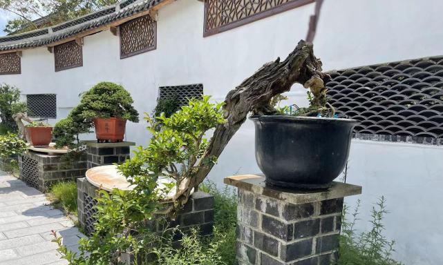 花语笔记魅影是什么意思？