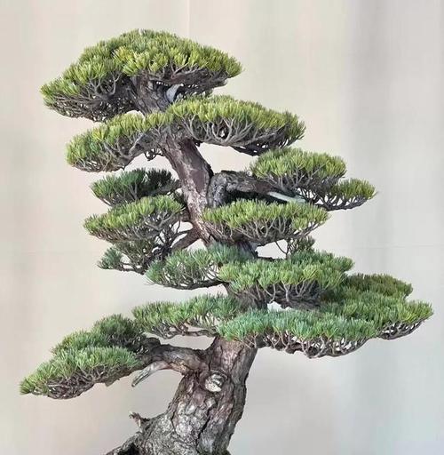 花语笔记魅影是什么意思？