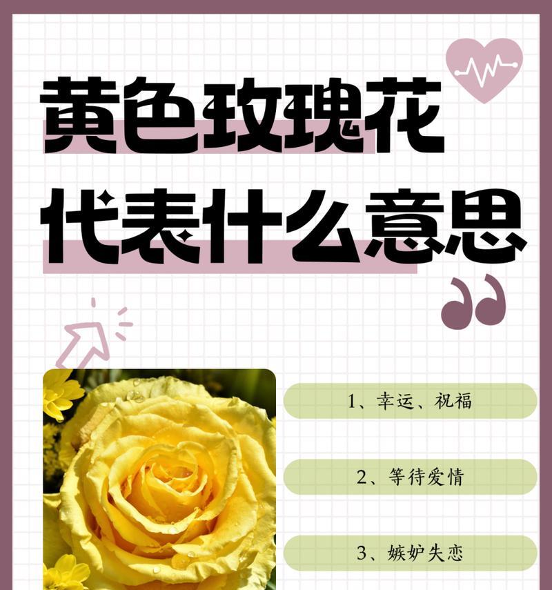 妹妹送玫瑰花的花语是什么意思？