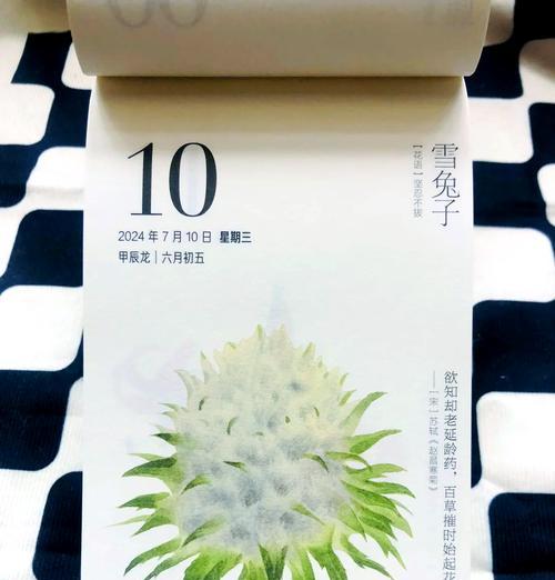 雪花的花语和寓意是什么？