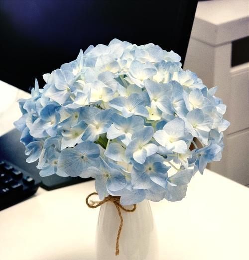 形容淡漠的花语是什么花？它表达了怎样的情感态度？