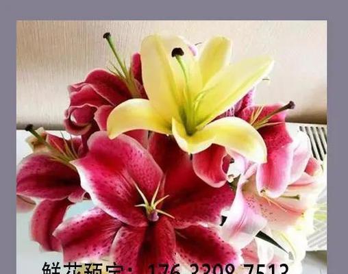 情人节送花独特花语是什么？达林顿花语又代表什么？