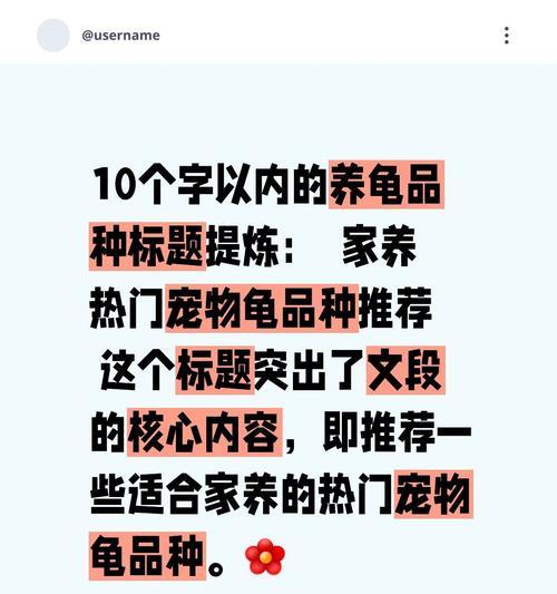 送龟龟的花花语是什么？哪种花适合送给宠物龟？