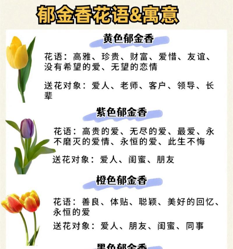 郁香花的花语是什么？为什么人们喜欢它？