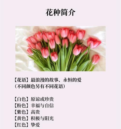 郁香花的花语是什么？为什么人们喜欢它？
