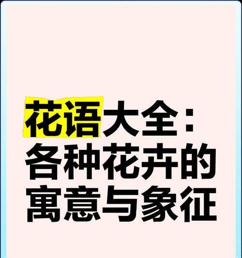 哪种花的花语象征着等待爱情？