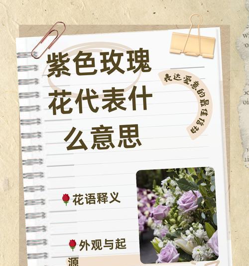 玫瑰花语爵色代表什么含义？