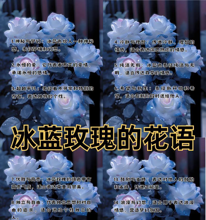 玫瑰花语爵色代表什么含义？