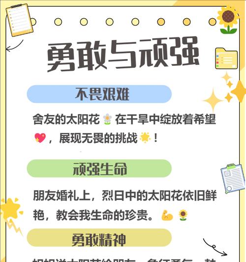 太阳花代表什么意义？太阳花的花语有哪些？