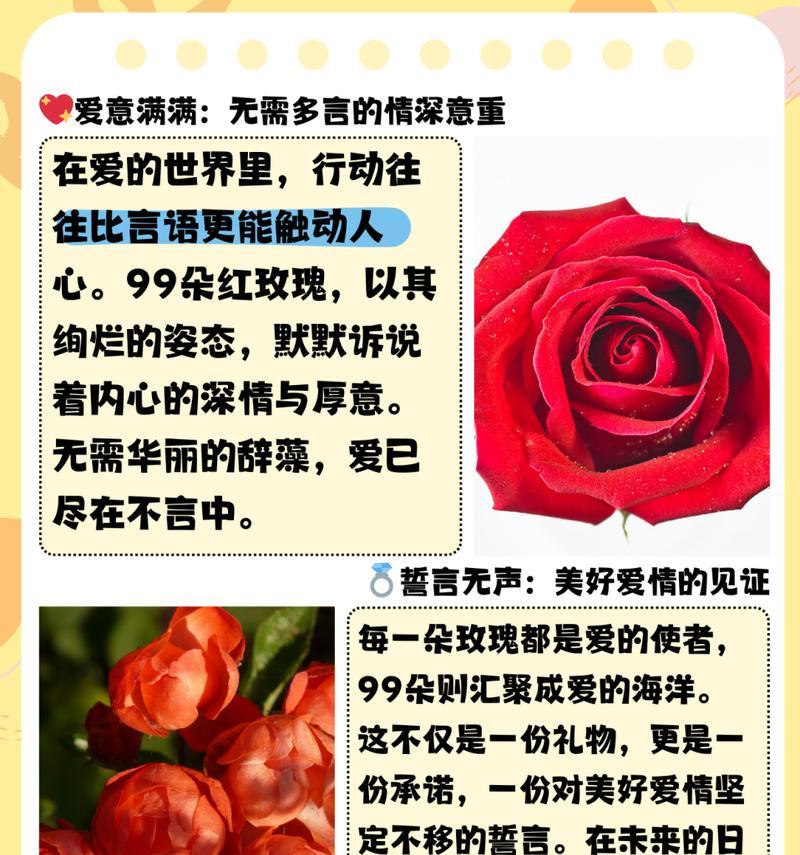 三大朵鲜艳玫瑰花语是什么？三大朵鲜艳玫瑰代表什么意义？