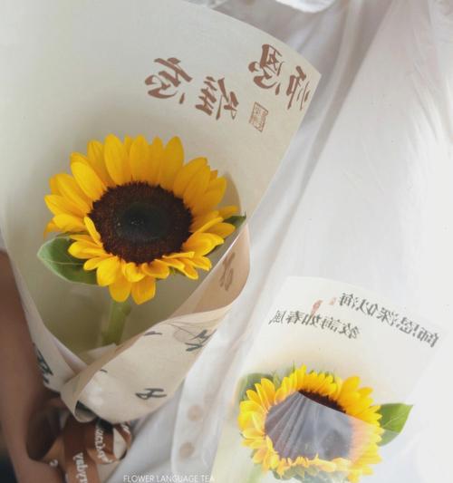 小聪老师的花语代表什么？