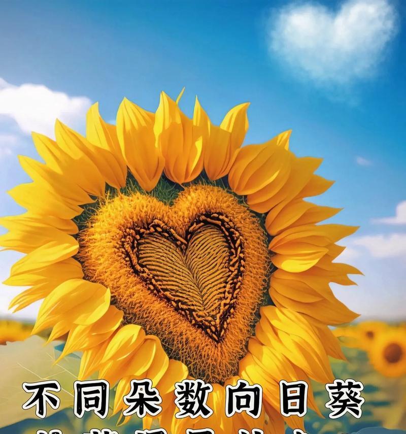 萧花语的含义是什么？它在花语中代表什么？