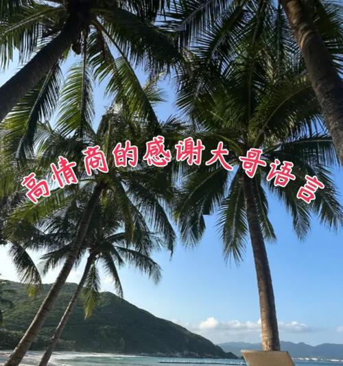 对哥哥的感恩用什么花语表达？哪种花语最适合表达对哥哥的感激之情？