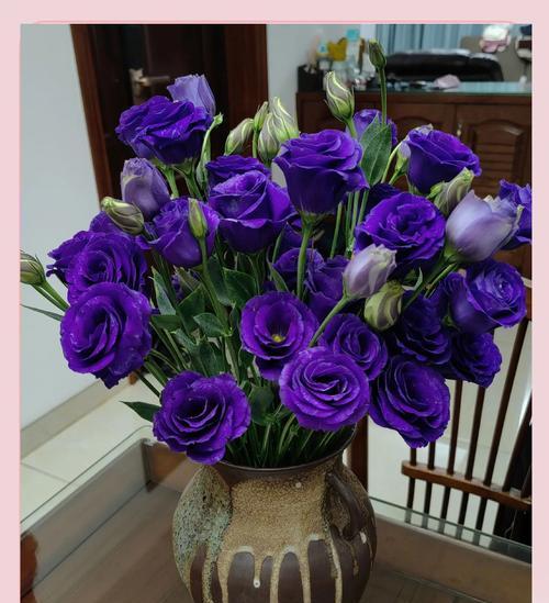 哪种花语代表暗恋？如何通过花语表达爱意？