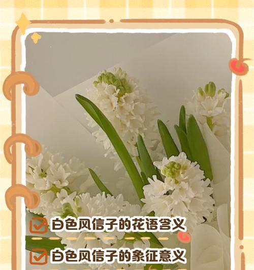 哪种花语代表暗恋？如何通过花语表达爱意？