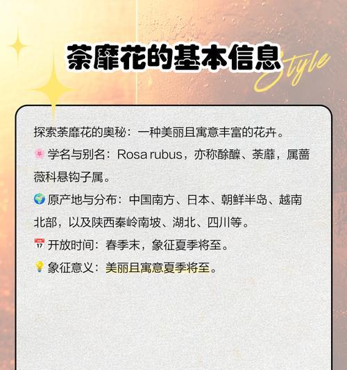 荼靡花茶的花语与寓意是什么？荼靡花茶代表什么？