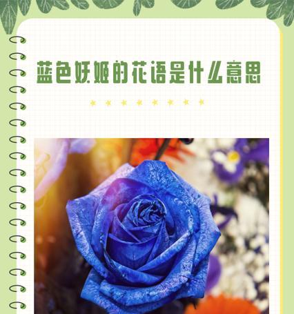 特殊节日花语是什么生肖？不同生肖对应的花语有哪些？