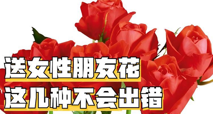 哪种花代表反抗爱情？