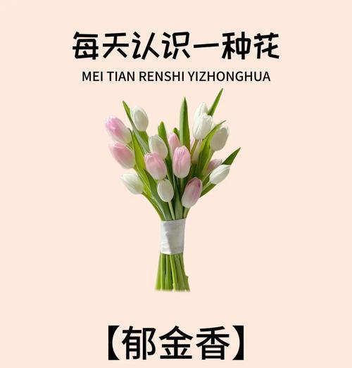 浪漫幸福的花语有哪些？