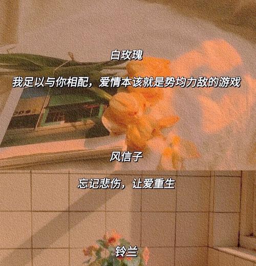 浪漫幸福的花语有哪些？