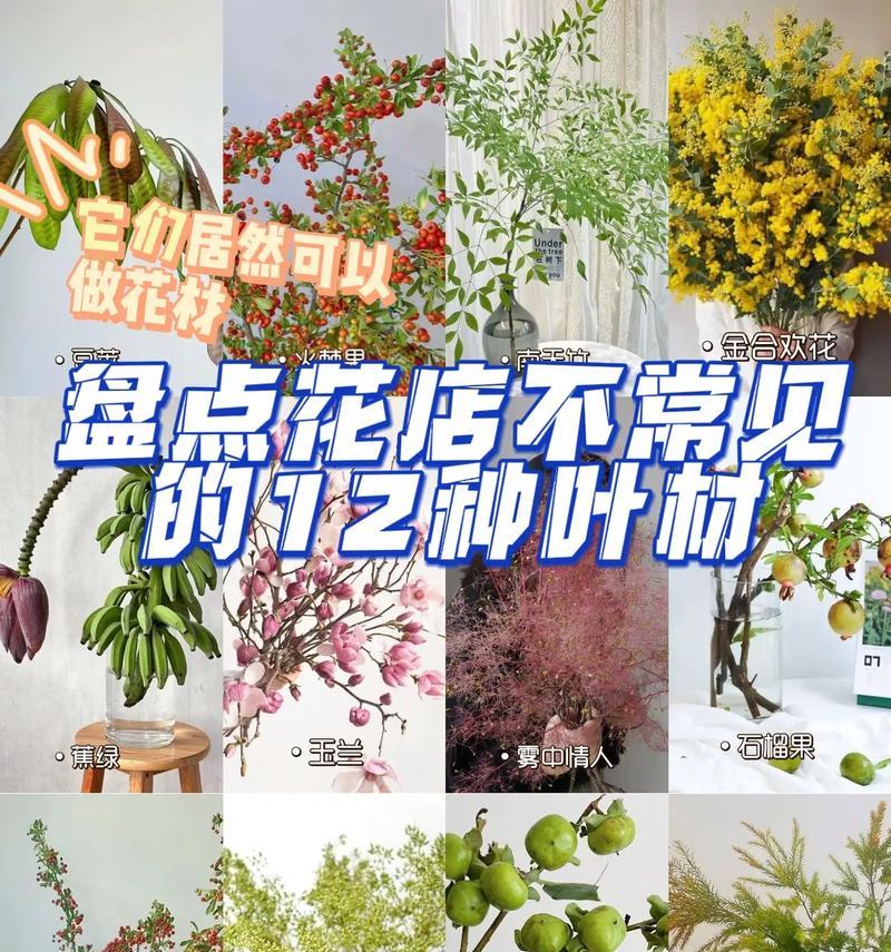 夏日花语中叶子的颜色代表什么？