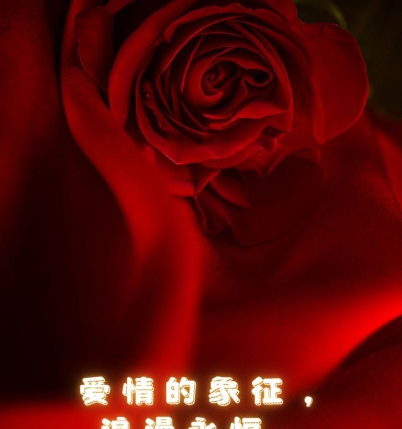 烈焰红玫瑰的花语有何特别含义？花语中表达的情感是什么？