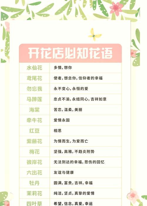 鼎和烂漫的花语有何不同？