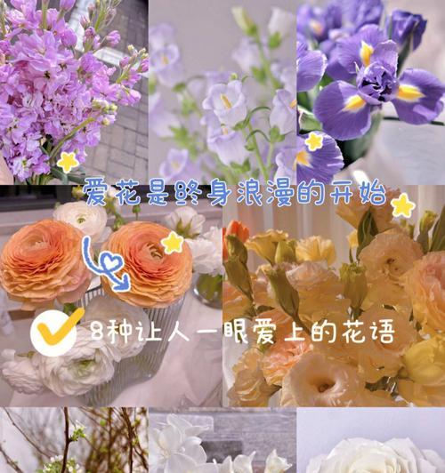 哪种花的花语是爱着所有人？它有何特别之处？