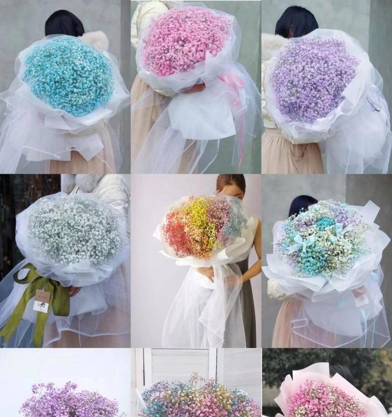 满天星的花语代表了什么？