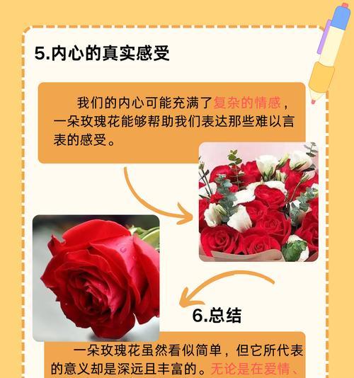 莲花玫瑰的花语及寓意是什么？