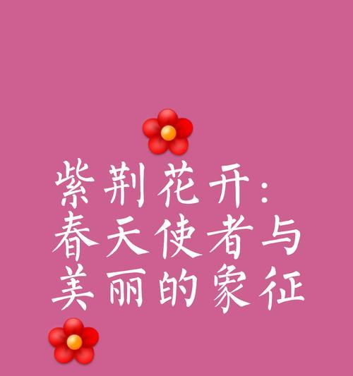 紫荆花在校园中代表什么？如何用紫荆花表达情感？