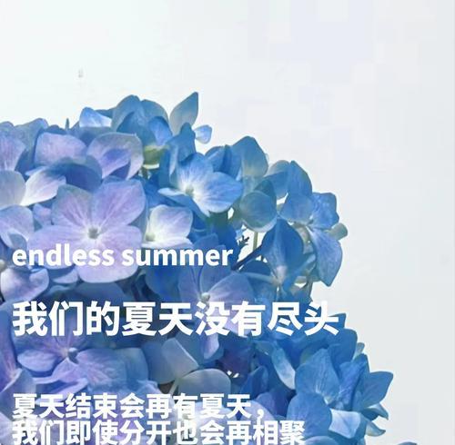 默不作声的花语寓意有哪些？如何理解？