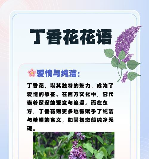 东京的象征花语是什么？代表东京的花有哪些花语？