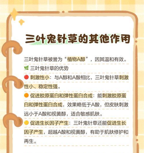 鬼针草的花语有何特别之处？如何用鬼针草表达情感？