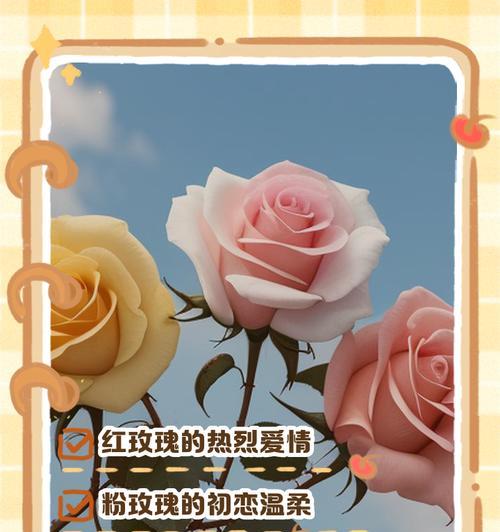12支玫瑰代表什么？花语有何特殊含义？
