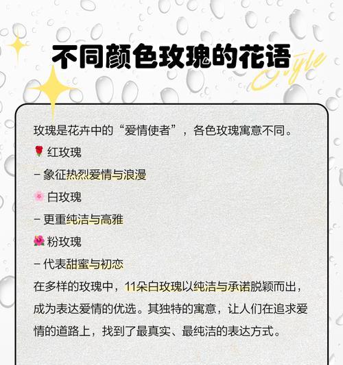 12支玫瑰代表什么？花语有何特殊含义？