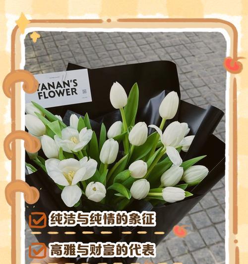 二叶郁金香的寓意是什么？花语又代表什么？