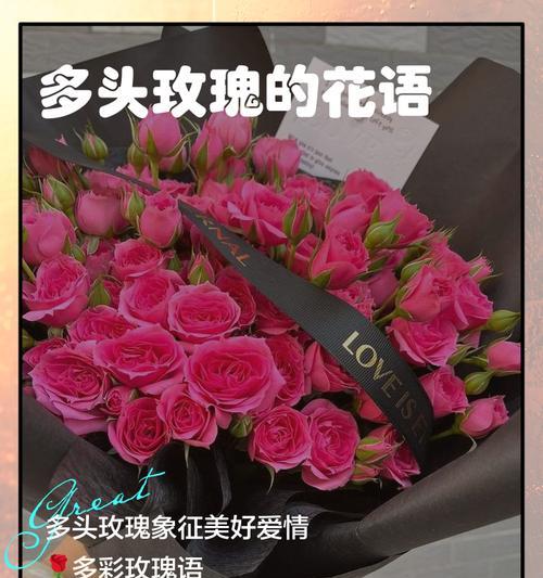 雪花玫瑰的花语是什么？雪花玫瑰代表什么好听的花语？